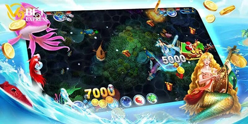 Đặc điểm cơ bản về Vua săn cá