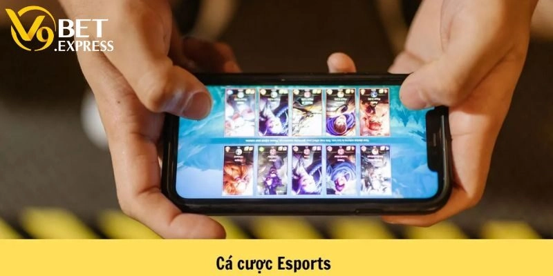 Tìm hiểu những giải đấu nổi bật tổ chức cá cược